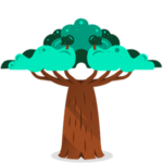 Baobab