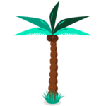 Palm